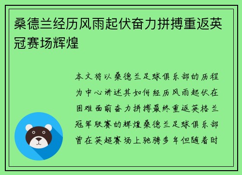 桑德兰经历风雨起伏奋力拼搏重返英冠赛场辉煌 桑德兰经历风雨起伏奋力拼搏重返英冠赛场辉煌